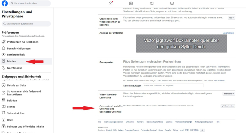 Automatisch erstellte Untertitel und &uuml;bersetzte Untertitel deaktivieren