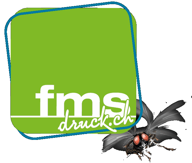 FMS Druck AG