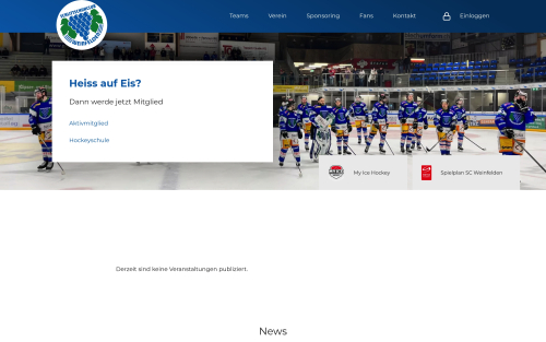 scweinfelden.ch_desktop.jpg