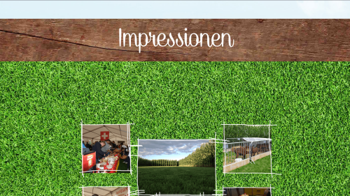 Impressionen