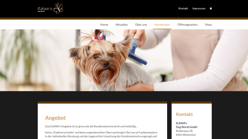 Hundesalon Angebot