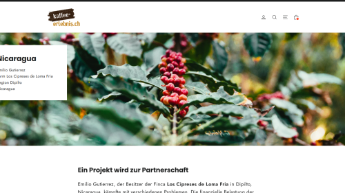 Projekte Detailansicht