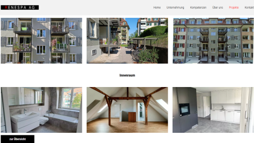 Projekt Detailansicht