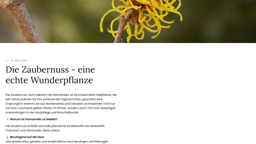 News Detailansicht